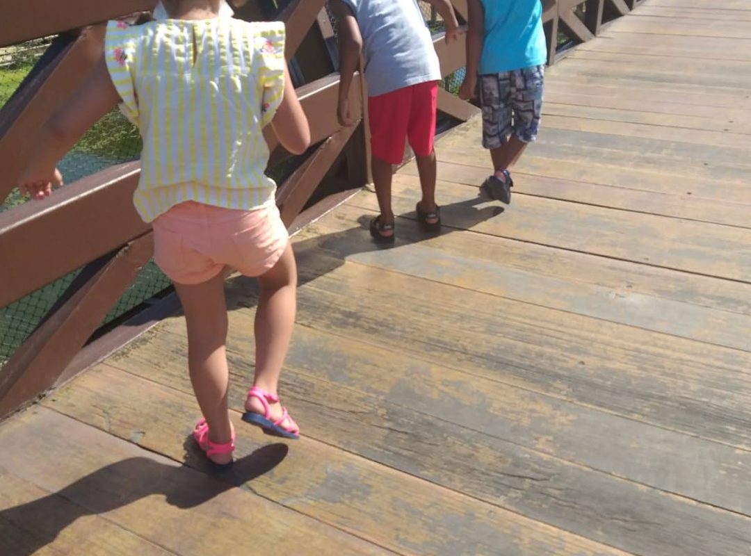 Passeio ao Zoológico Dez 2021